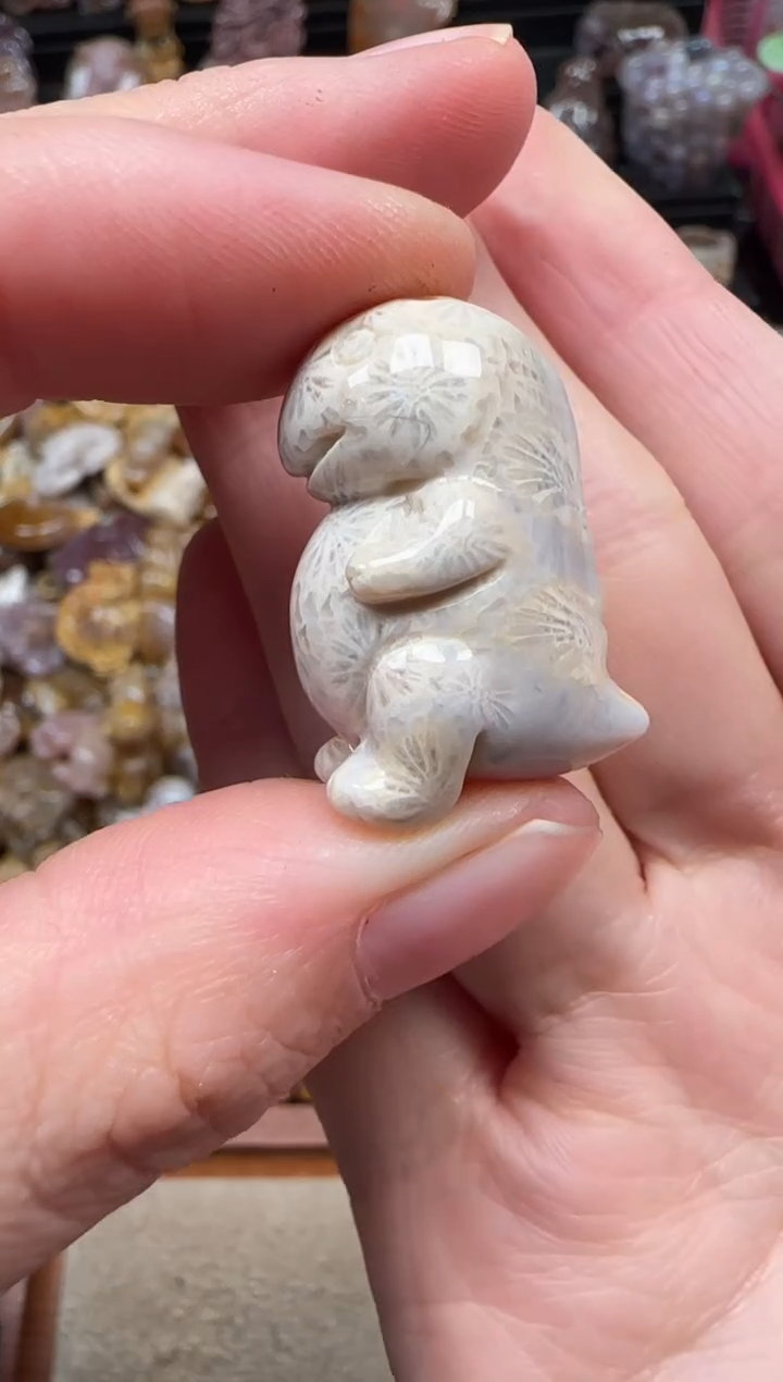 颈饰未镶嵌硅化珊瑚（珊瑚玉）326