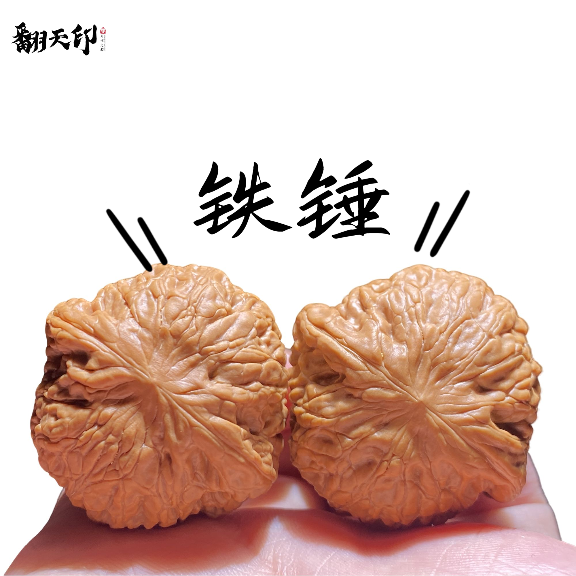 【翻天印】精品文玩核桃铁锤妹妹