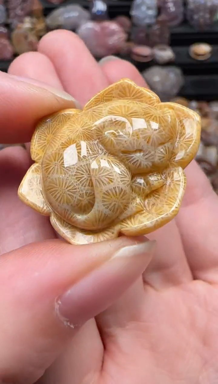 颈饰未镶嵌硅化珊瑚（珊瑚玉）208