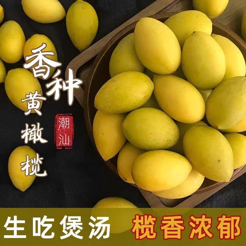 正宗潮汕特产新鲜金灶黄橄榄橄榄黄金橄榄果生吃天气榨汁煲汤泡酒