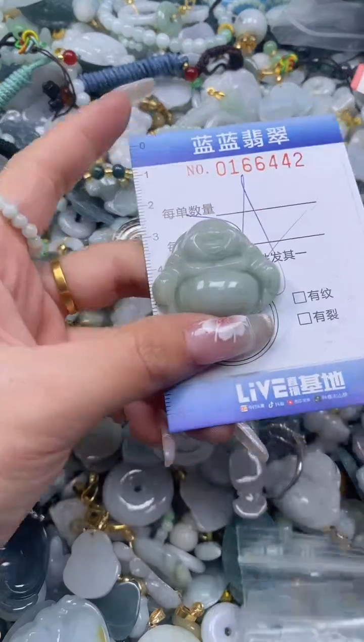 【闪购商品】翡翠颈饰未镶嵌闪购0166442