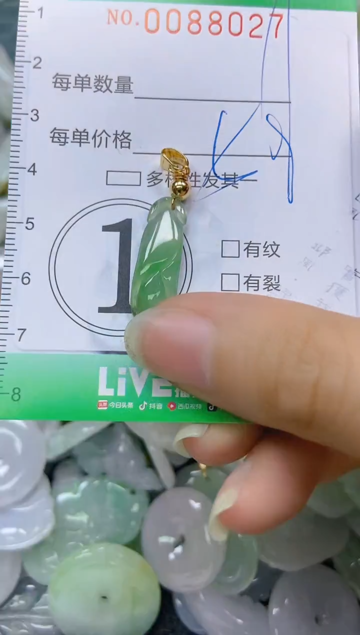 【闪购商品】翡翠颈饰未镶嵌闪购0088027