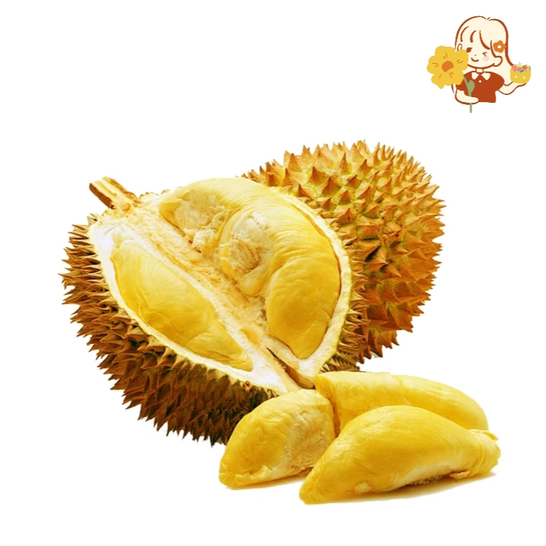 越南金枕新鲜榴莲一果一重核小金枕越南