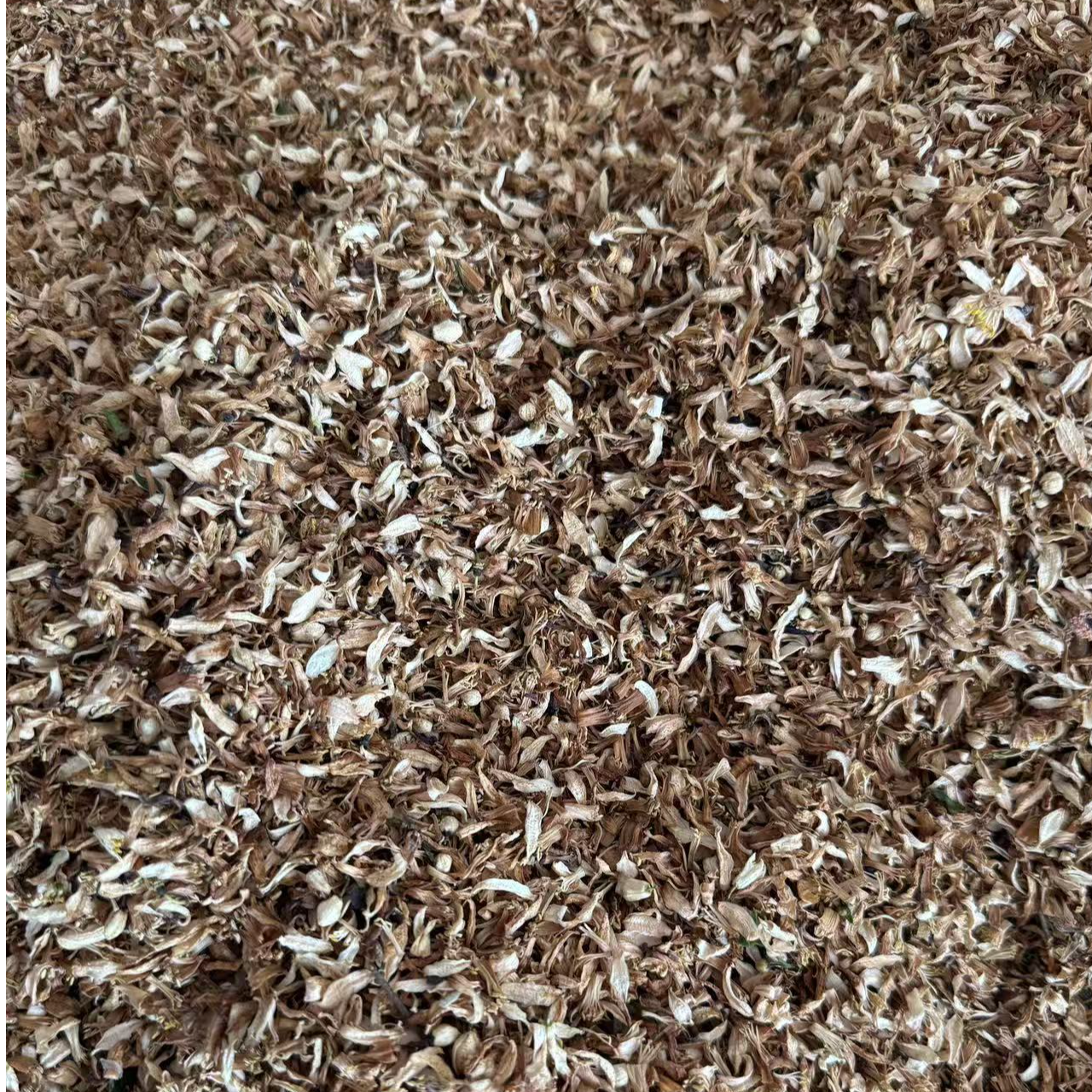 广西2025年新浦北陈皮大红柑干花又称茶枝柑干花