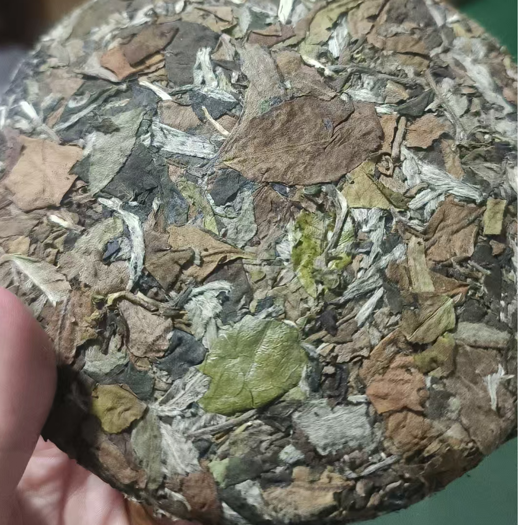 2025头春明前雪芽白茶紧压茶饼200g