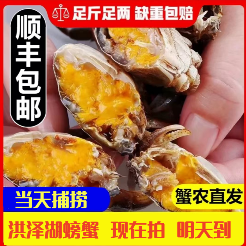 【15送5只】江苏青蟹1.0-1.1两 次日达 顺丰包邮C1