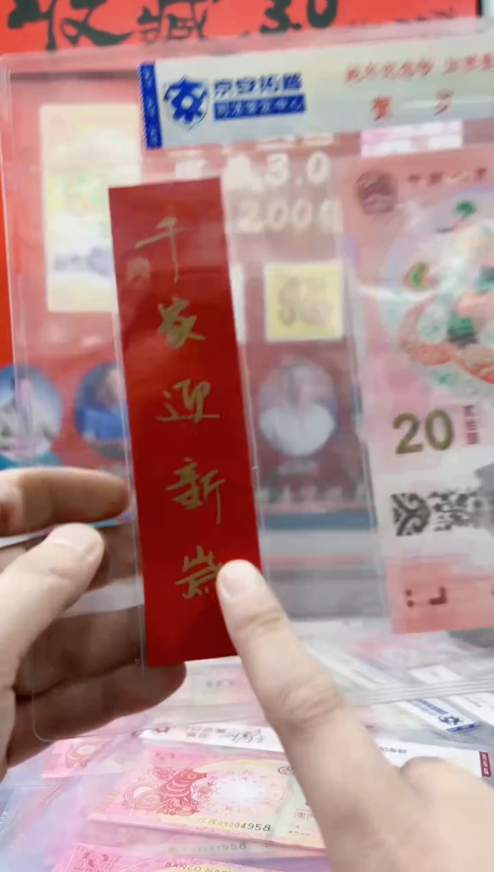 【闪购商品】2025年乙巳蛇年纪念钞+对联