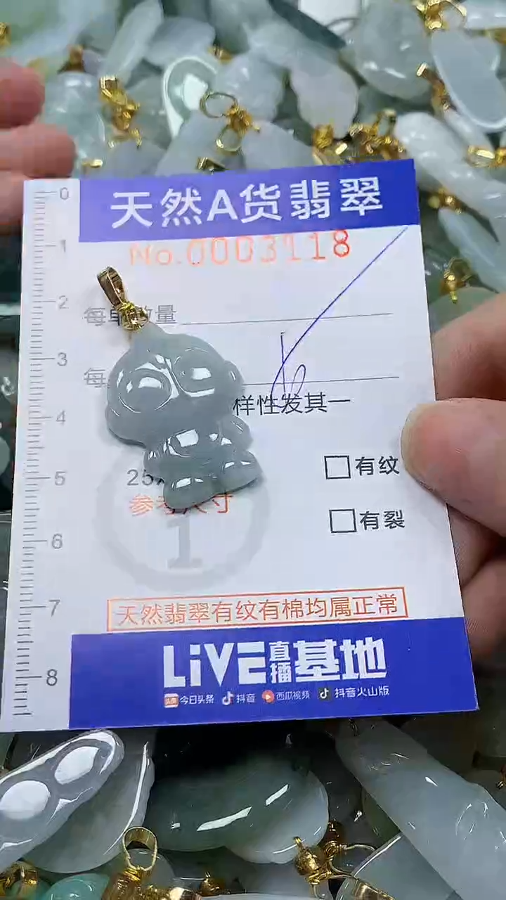 颈饰未镶嵌翡翠纯天然a货翡翠