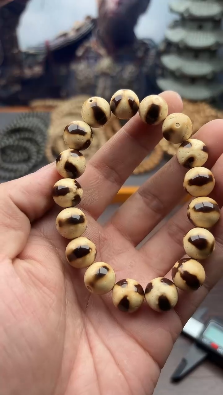 【闪购商品】紫金鼠手串A75号腰带