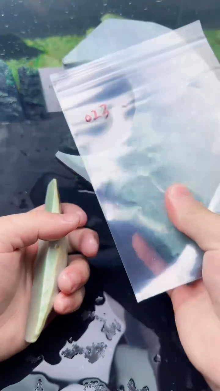 【闪购商品】翡翠颈饰未镶嵌023天然翡翠