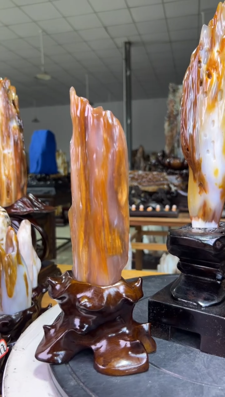 未镶嵌珠宝奇石硅化玉1