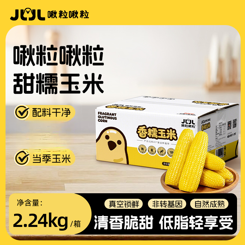 2025内蒙黄糯玉米单根280g软糯香甜营养粗粮宝宝鲜玉米玉米棒子