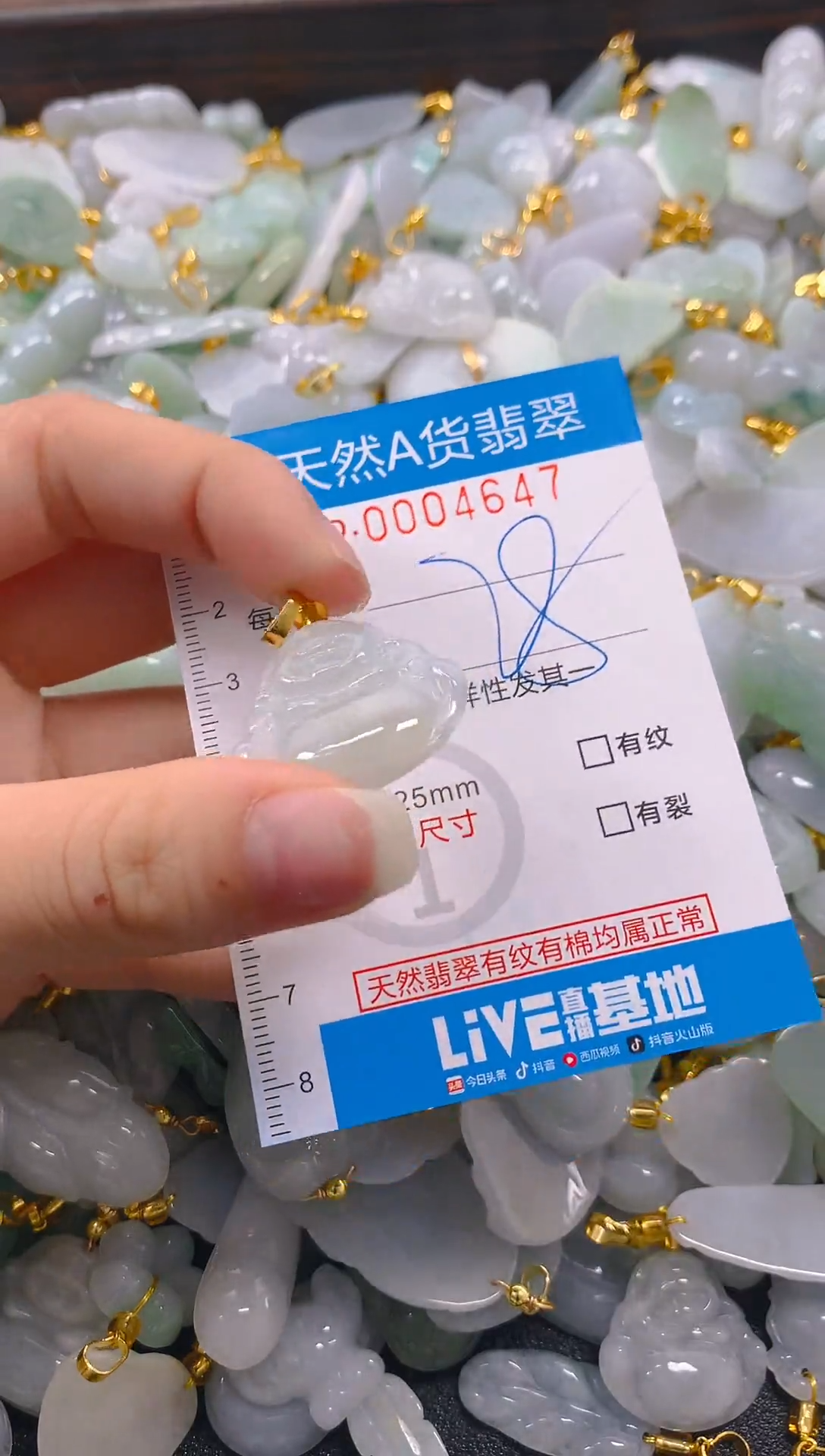 颈饰未镶嵌翡翠净货挂件-4647