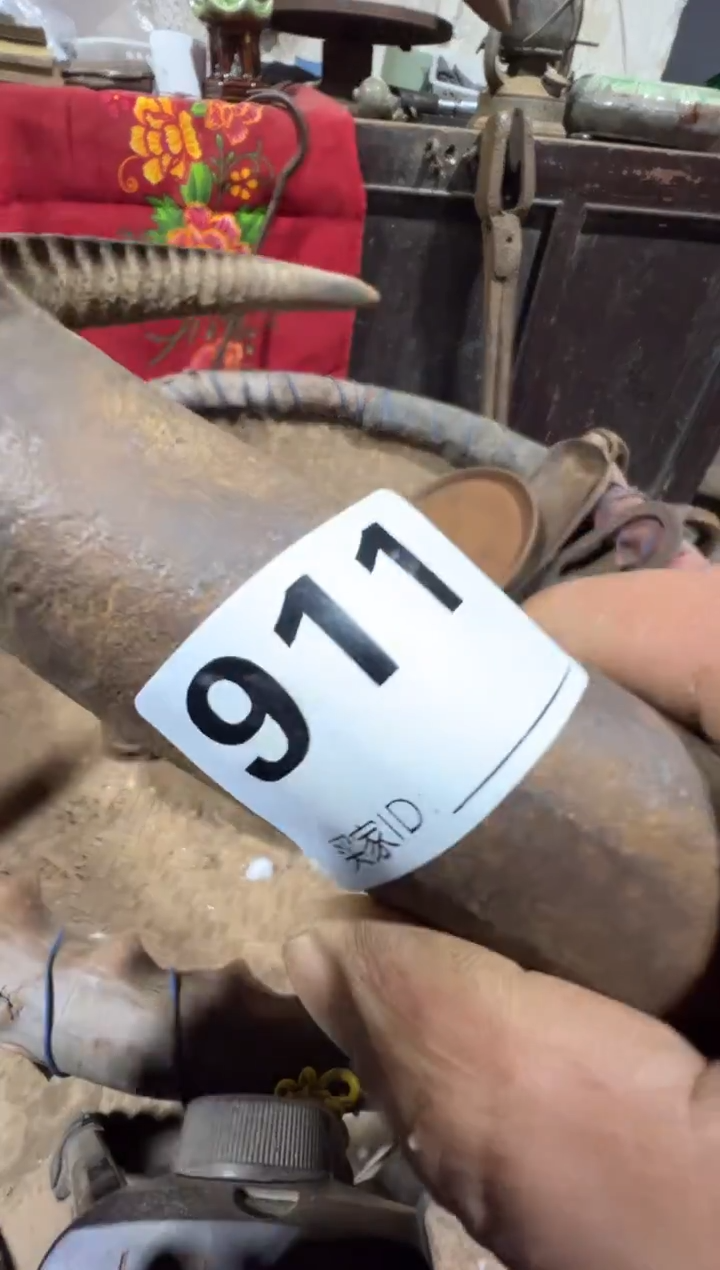 相***^08180老王直播间专属链接