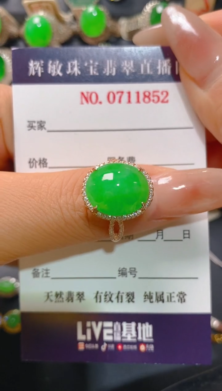 【闪购商品】翡翠耳饰银S925镶嵌天然A货翡翠1