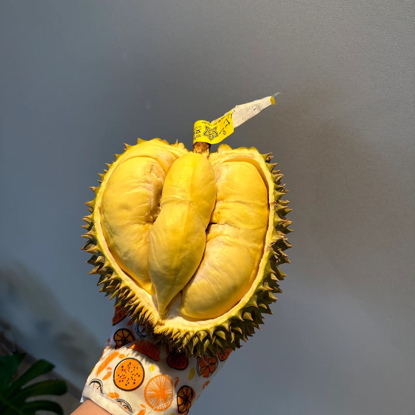 【泰国特价树熟草帽榴莲】特价果软糯新鲜树熟金枕榴莲 1-3斤现开纯肉（核小）金枕泰国