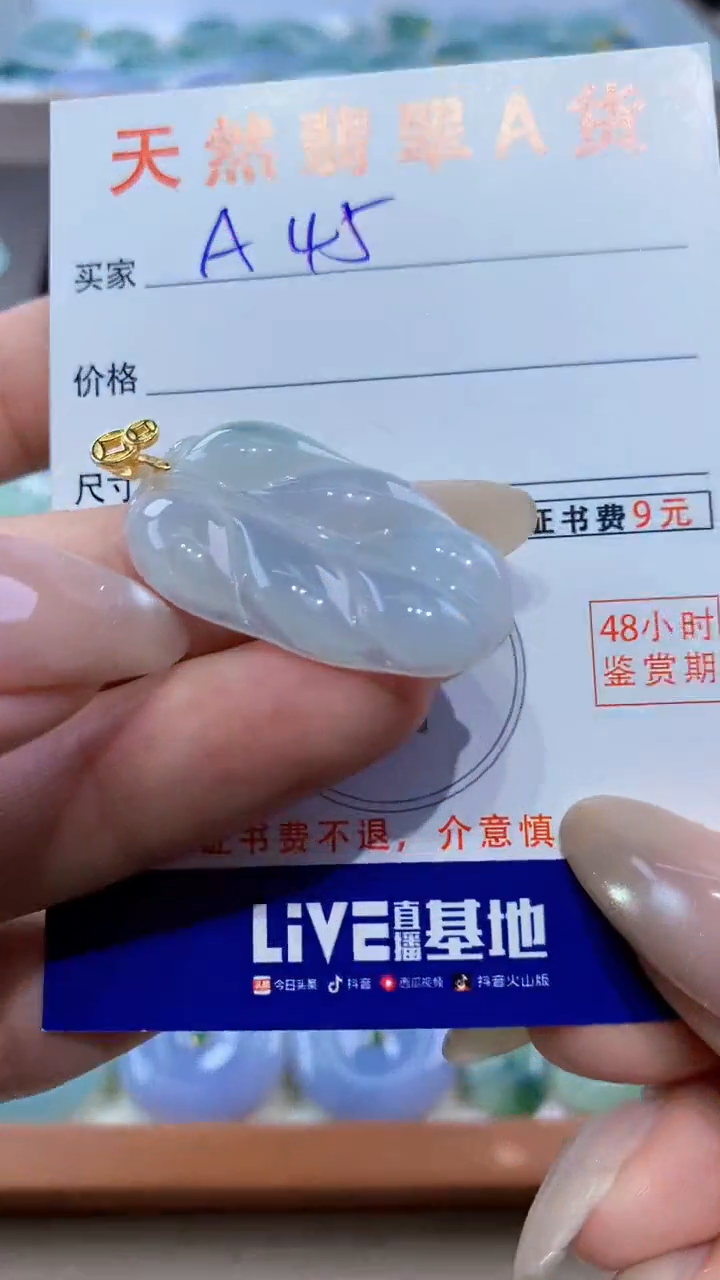 颈饰未镶嵌翡翠天然翡翠A货挂件