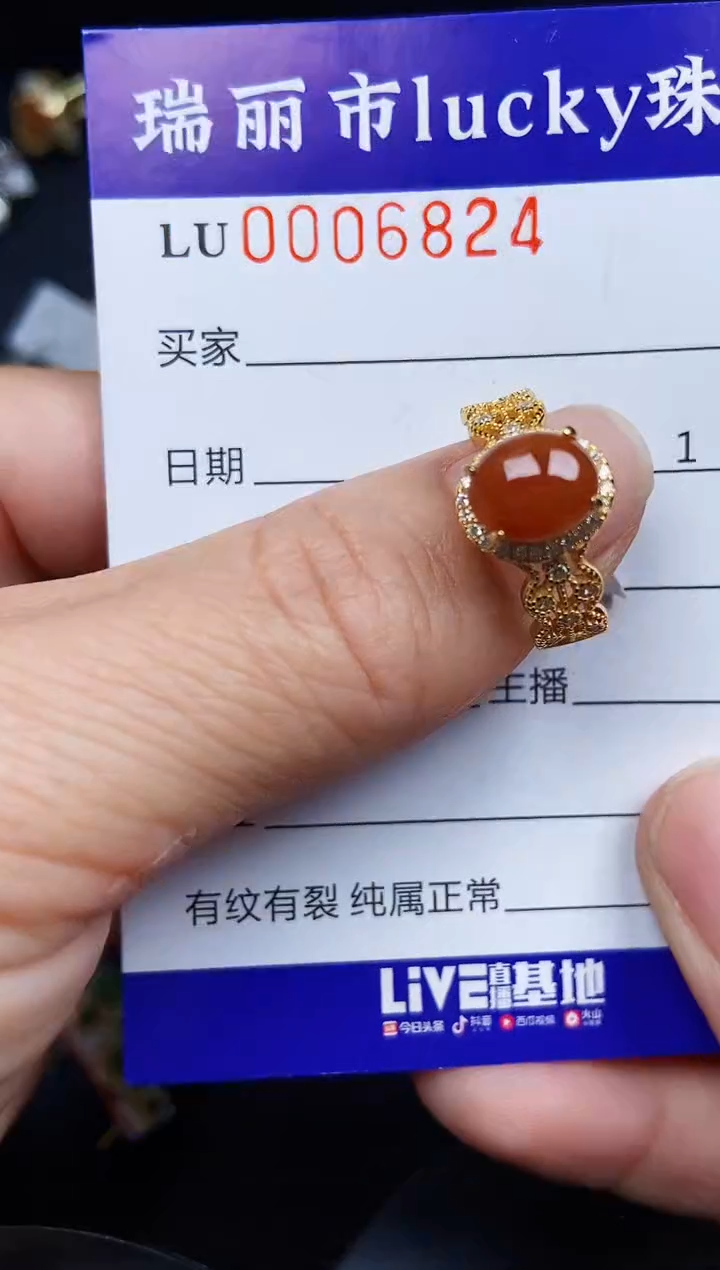 翡翠银S925镶嵌颈饰6824