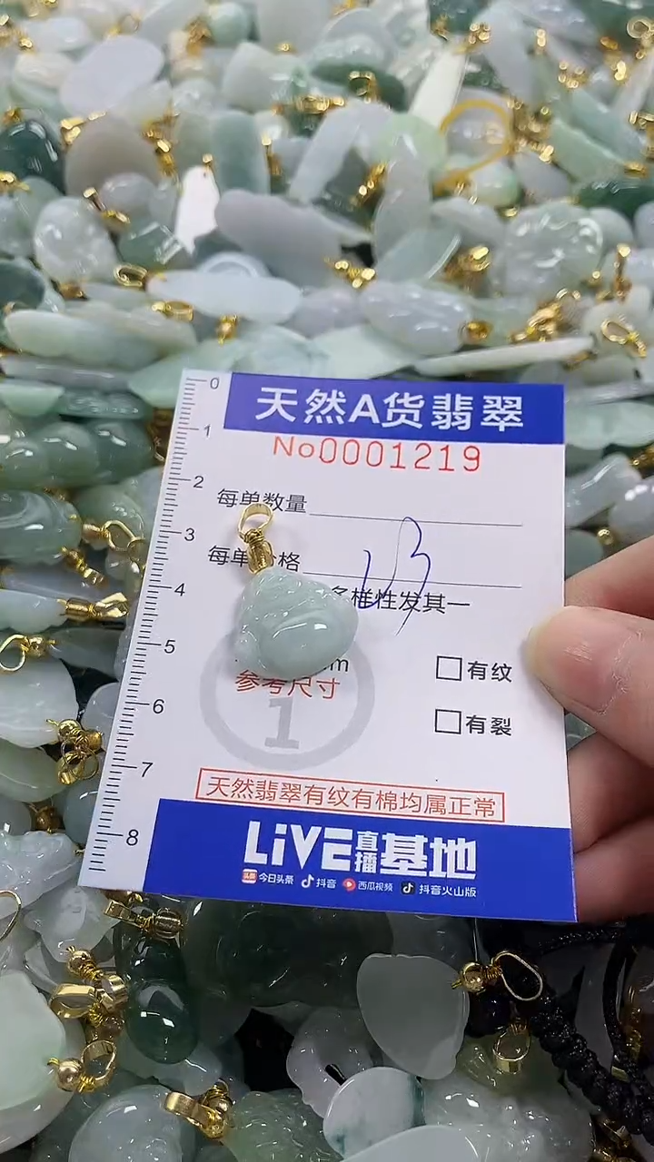 颈饰未镶嵌翡翠纯天然a货翡翠