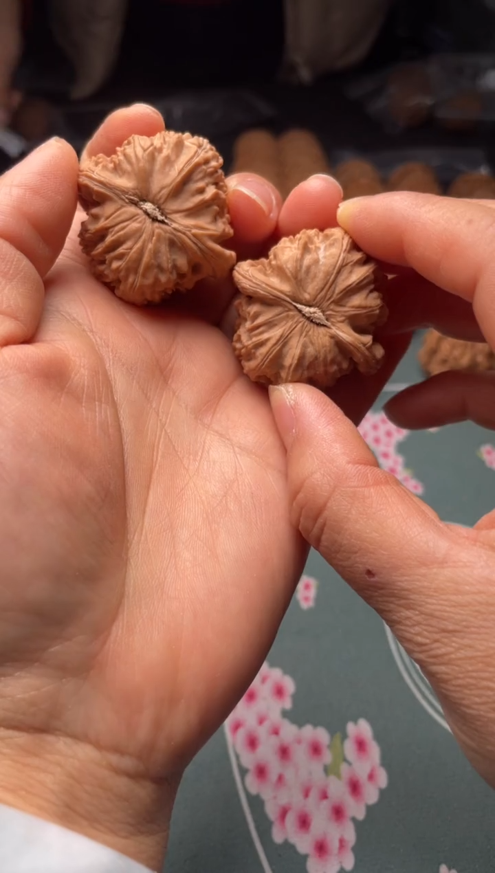 把件文玩核桃w48  白狮子 38尺