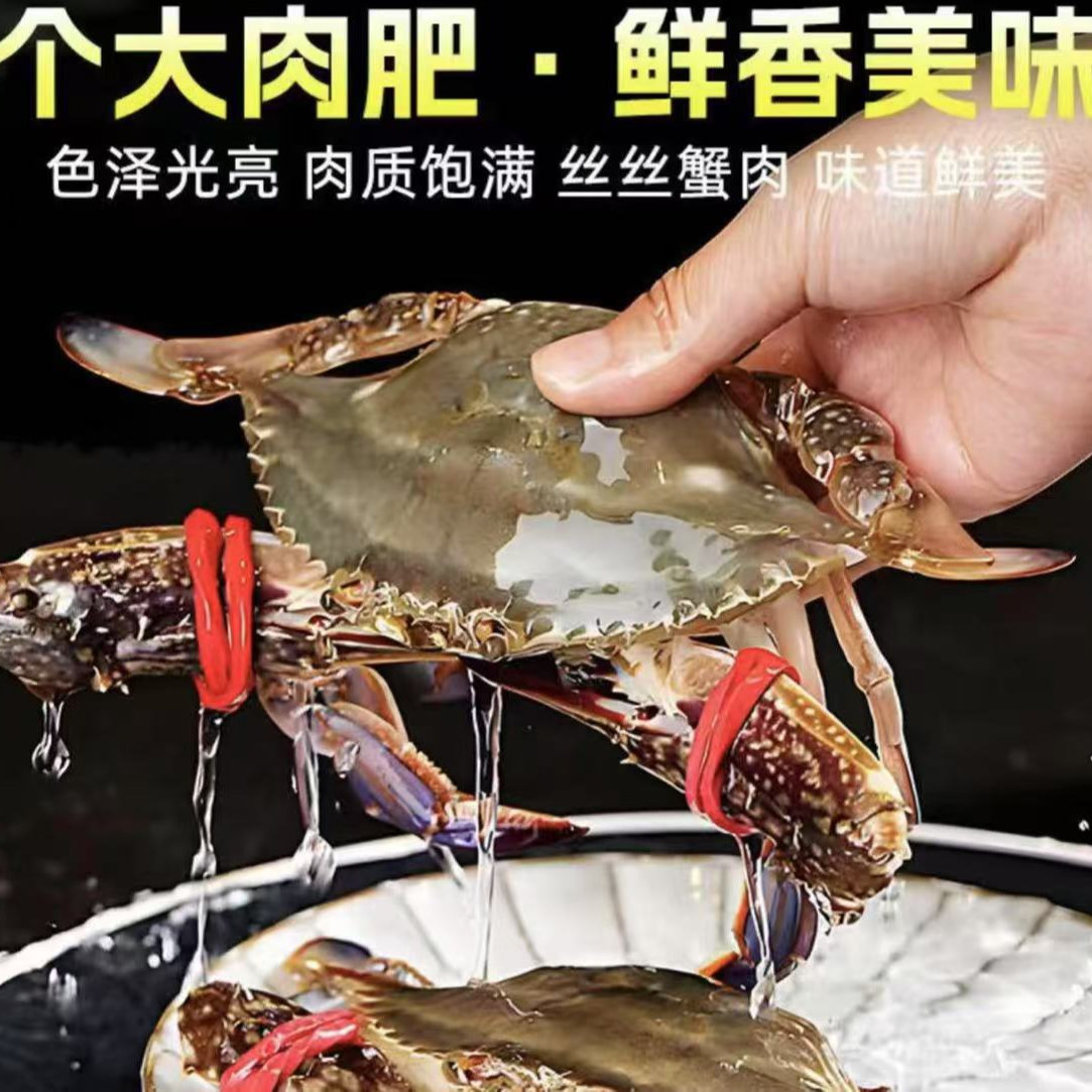 【保鲜不保活】舟山梭子蟹5-7两/只5-7只野生海捕梭子蟹3斤 4斤 6斤