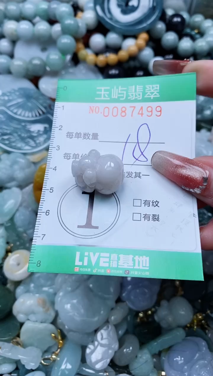【闪购商品】翡翠颈饰未镶嵌闪购0087499
