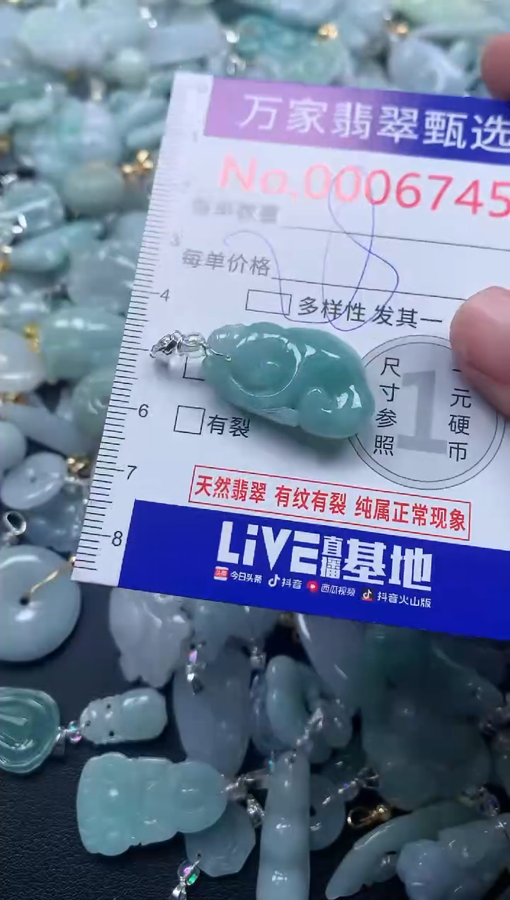 颈饰未镶嵌翡翠6745