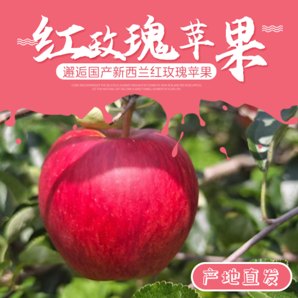 【新果】新鲜应季红玫瑰苹果脆甜多汁孕妇红玫瑰新鲜水果整箱批发