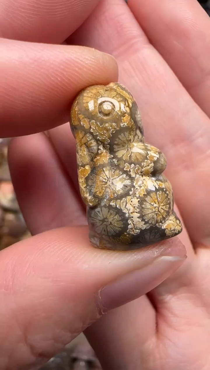 硅化珊瑚（珊瑚玉）未镶嵌颈饰405