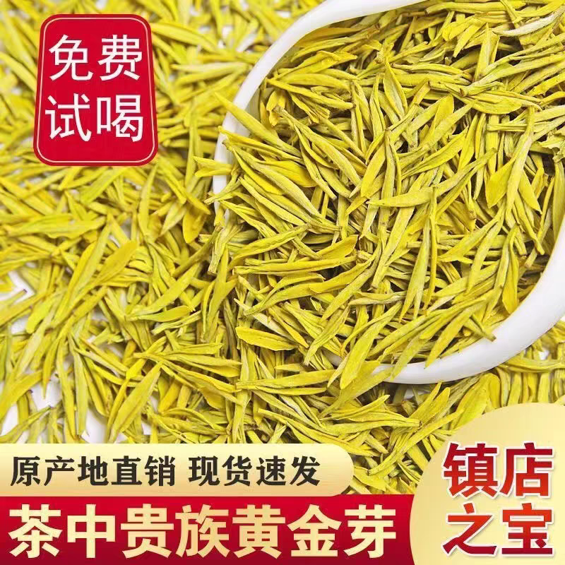 2025年新茶高档明前黄金芽茶叶头采鲜香爽口珍稀春茶高山绿茶送礼