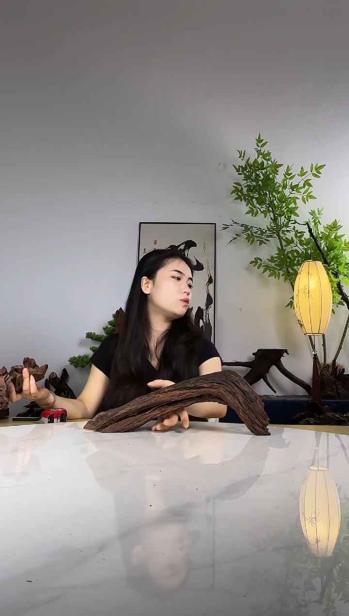 兵**号拍沉木定向链接编号16