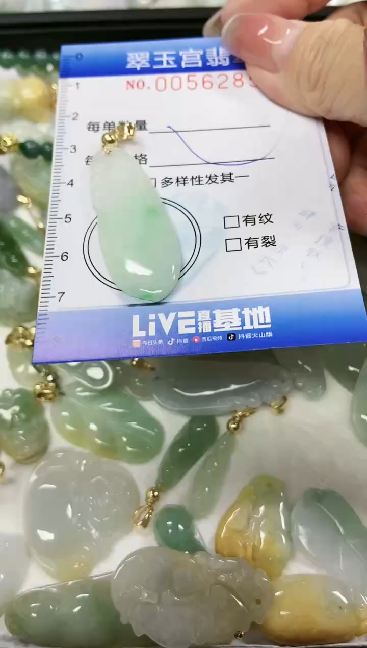 【闪购商品】翡翠颈饰未镶嵌闪购0056285