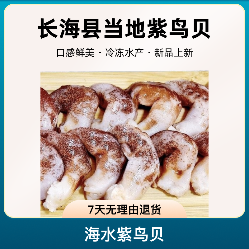 【渔岛二姐】海水乌蟒岛紫鸟贝（50-60头/斤）
