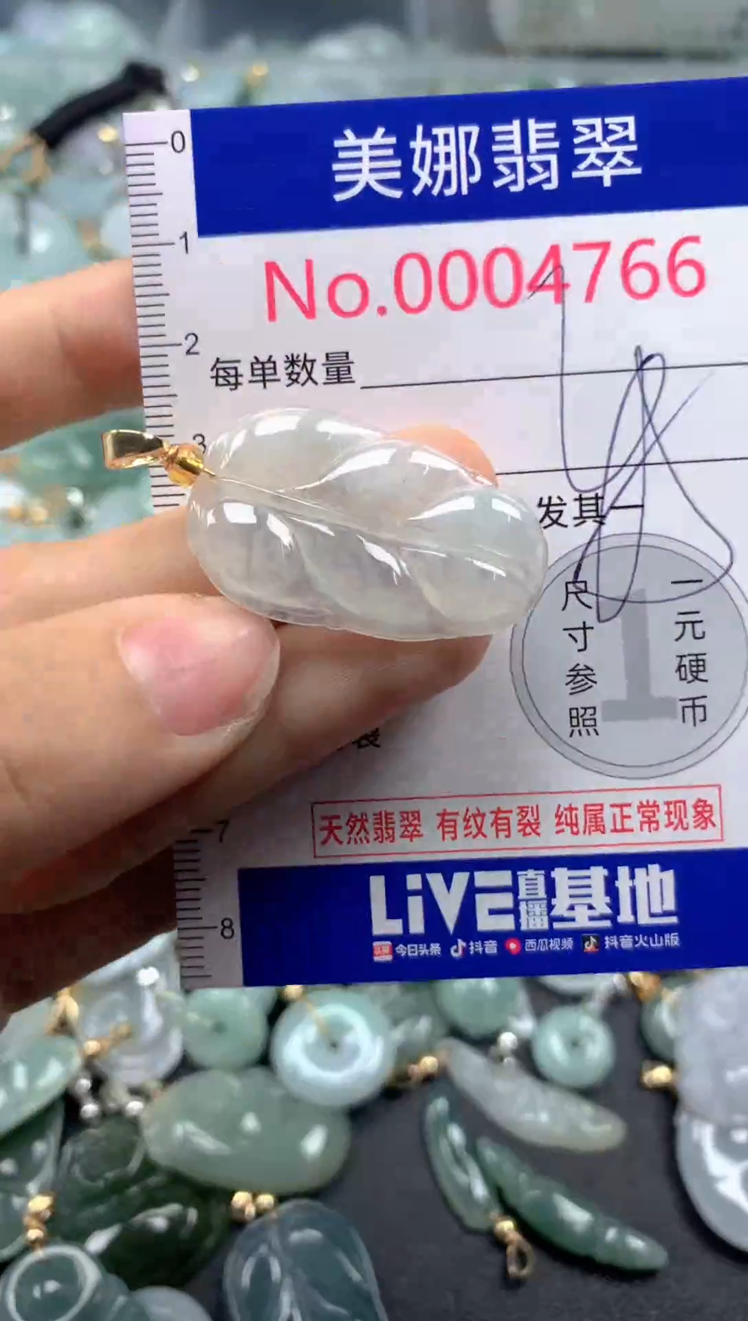 颈饰未镶嵌翡翠4766