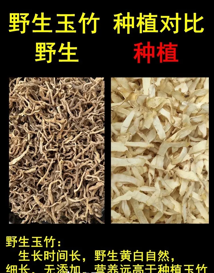 甘肃岷县高海拔下山采挖老玉竹