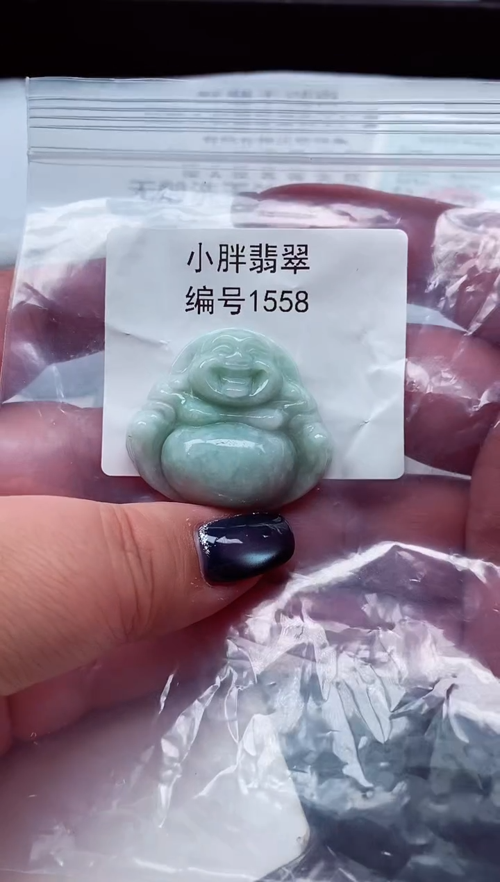 颈饰未镶嵌翡翠缅甸天然A货翡翠1558