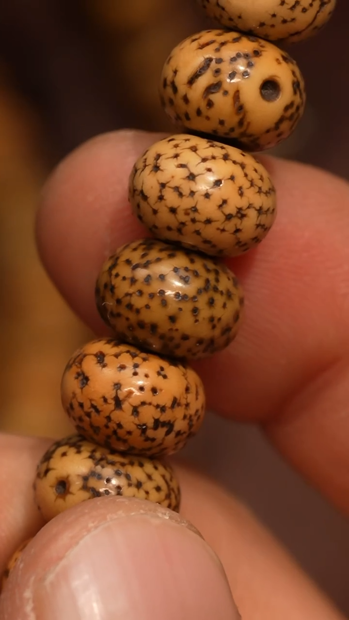 【闪购商品】冲赛康胡子哥，藏传念珠47