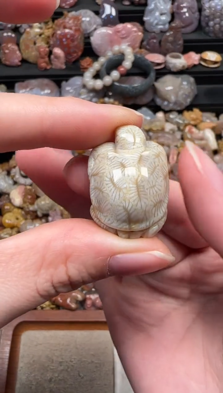 颈饰未镶嵌硅化珊瑚（珊瑚玉）211