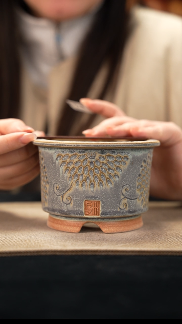 口径10花盆-11-24-488