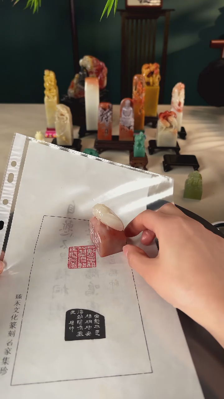 【闪购商品】拓片用纸印石梧桐树