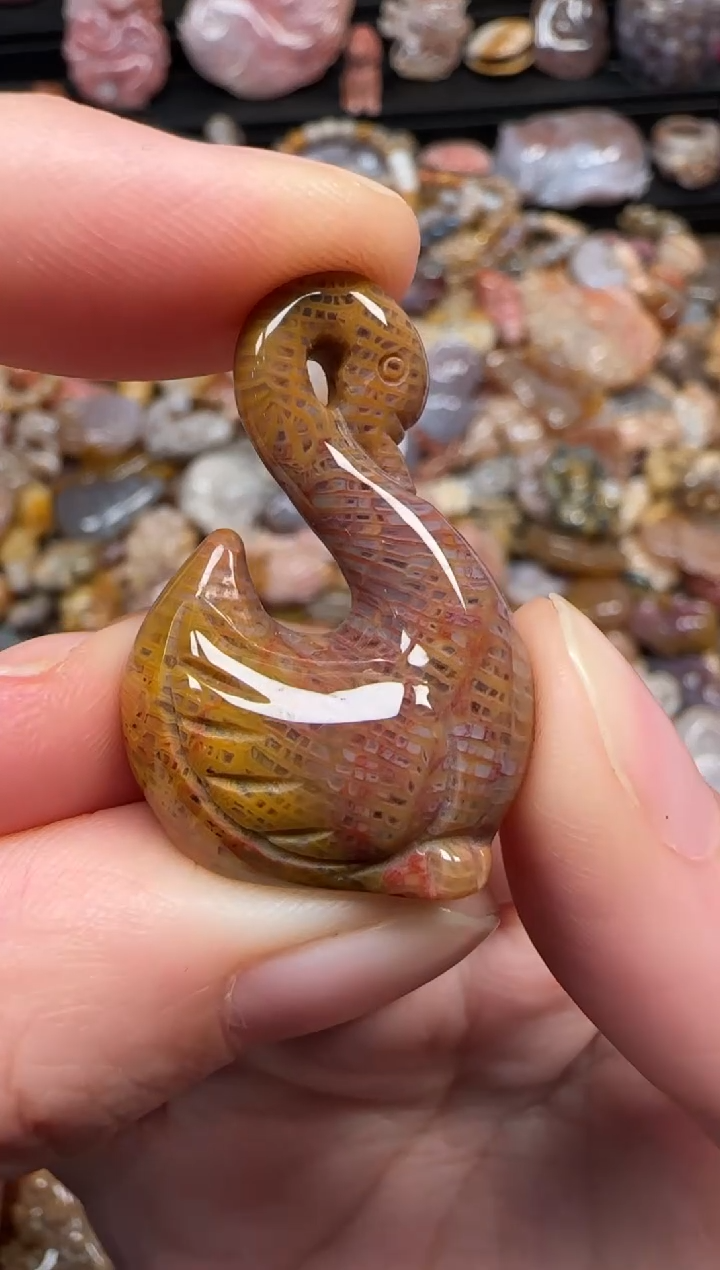 颈饰未镶嵌硅化珊瑚（珊瑚玉）134