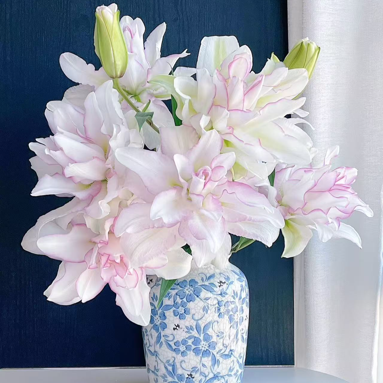 三头 S级【冰美人】重瓣百合栀子柠檬清香 夏天小清新 粉白色