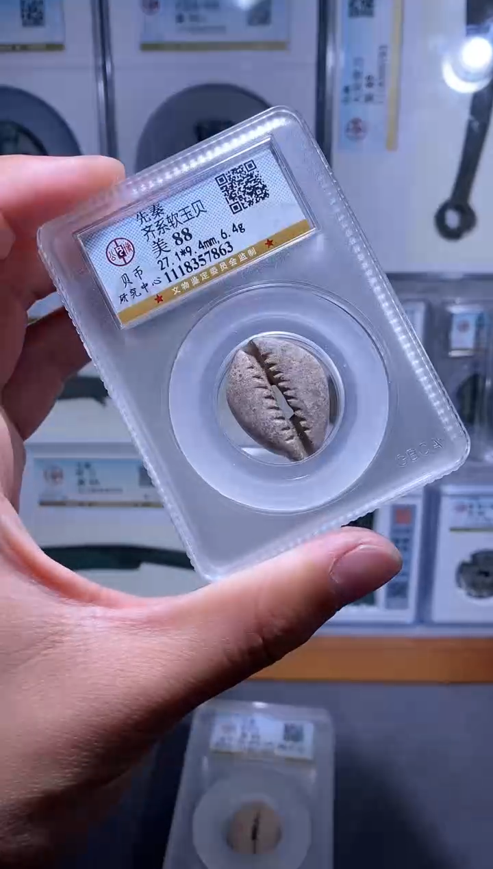 【闪购商品】金品泉 先秦软玉贝一枚