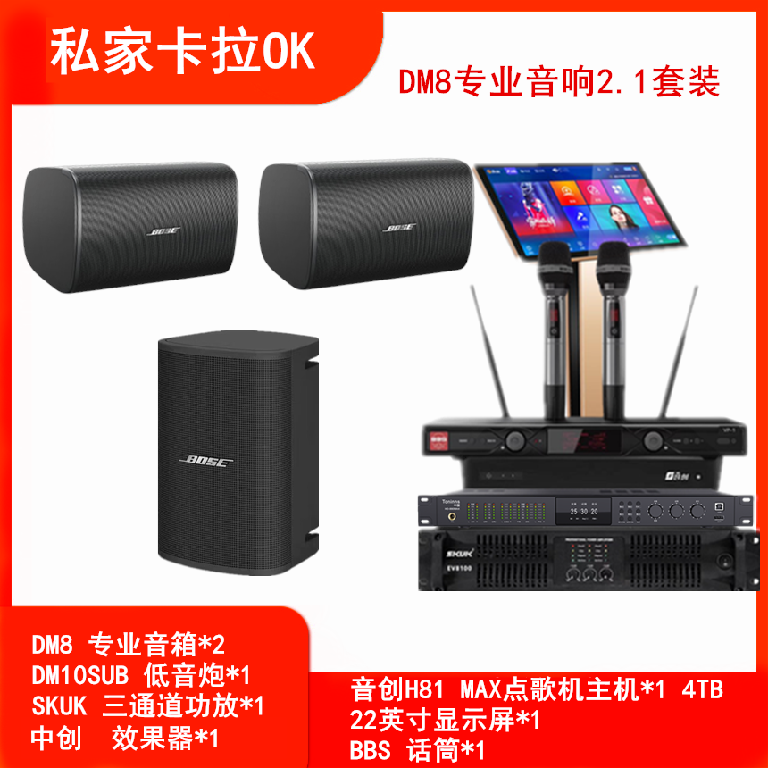 SKUK BOSEDM8专业音响套装舞台酒吧会议演出唱歌卡拉ok大功率
