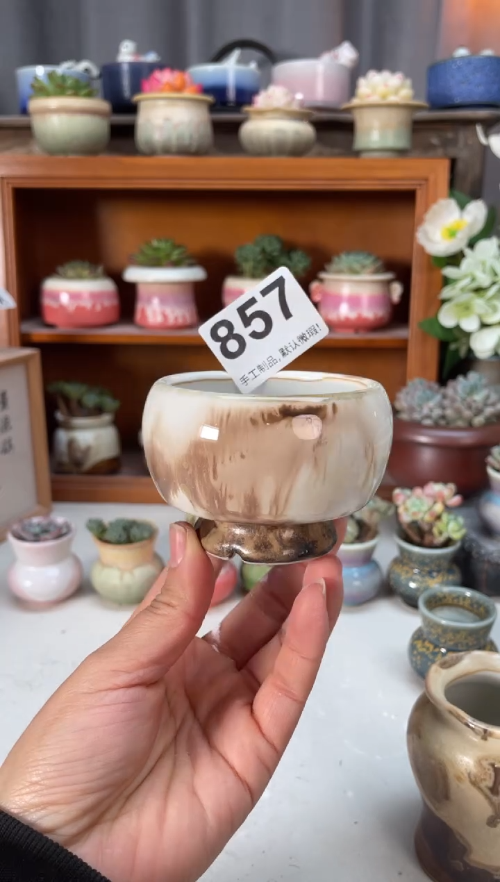 瓷片857小芳直播编号