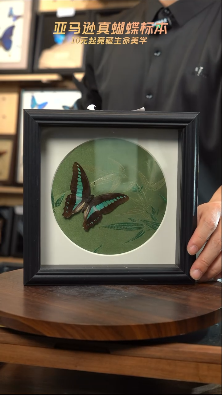 青凤蝶竹子布料底8寸方框