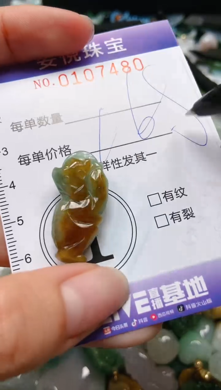 【闪购商品】翡翠颈饰未镶嵌闪购0107480