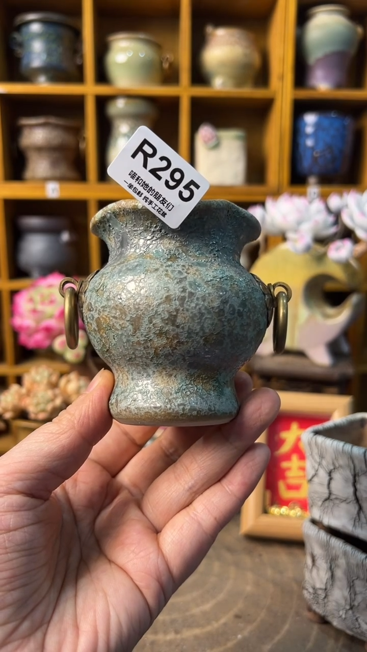 295 内口5【多肉花盆多肉盆】