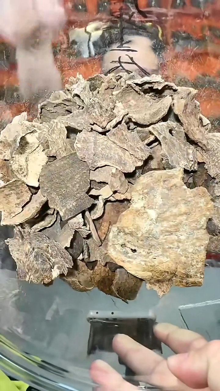 沉香沉香香囊2号包头10g多样性发一