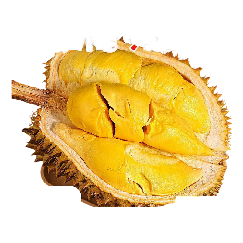 （煲汤榴莲）专用2斤纯肉金枕榴莲（顺德小时达）泰国东部金枕鲜榴莲 肉大核小金枕泰国